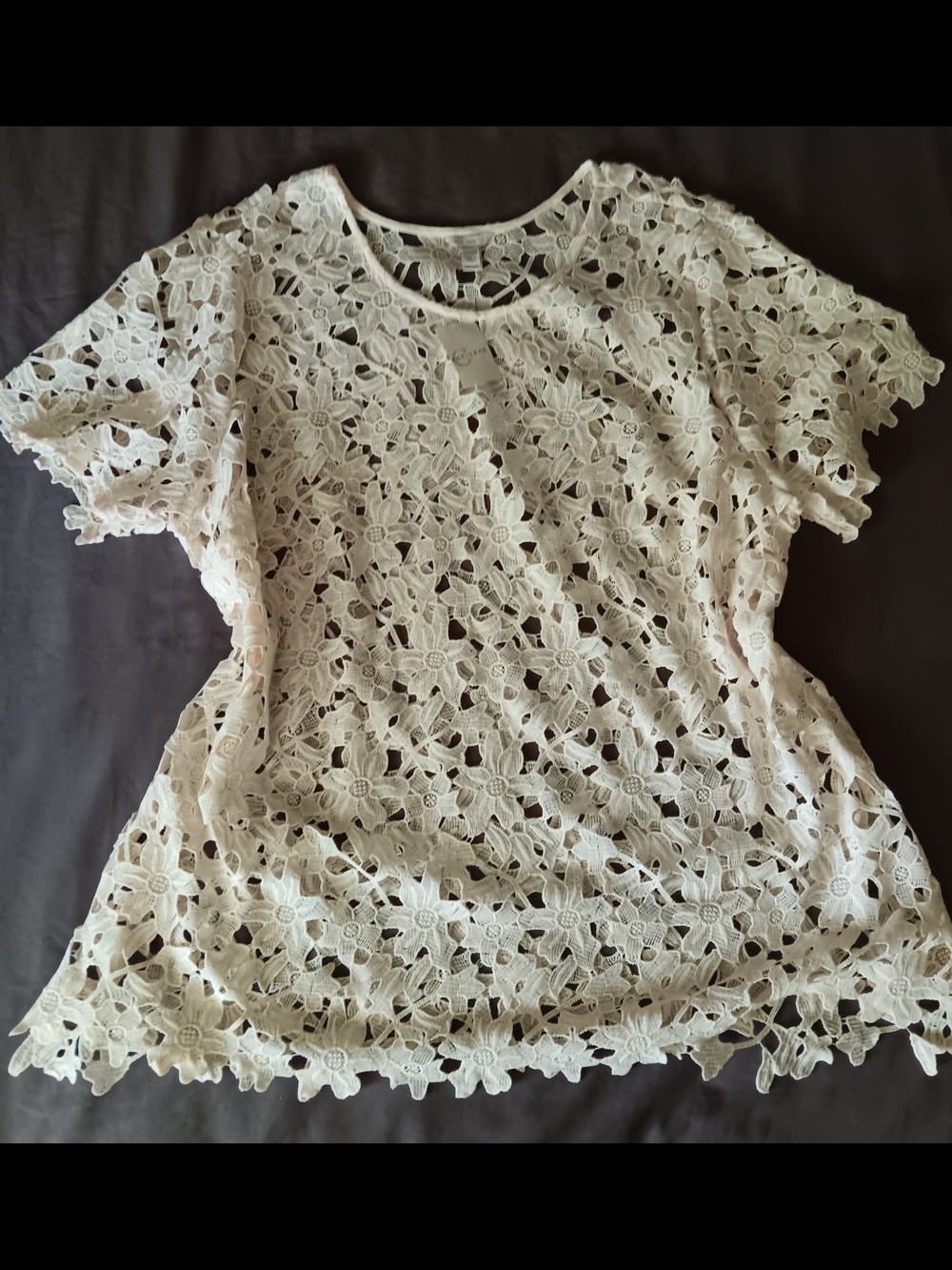 C Floral Crochet Lace Short Sleeve Top in Cream